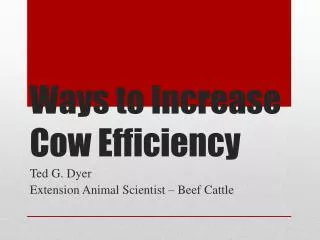 Ways to Increase Cow Efficiency