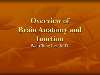 Overview of Brain Anatomy and function