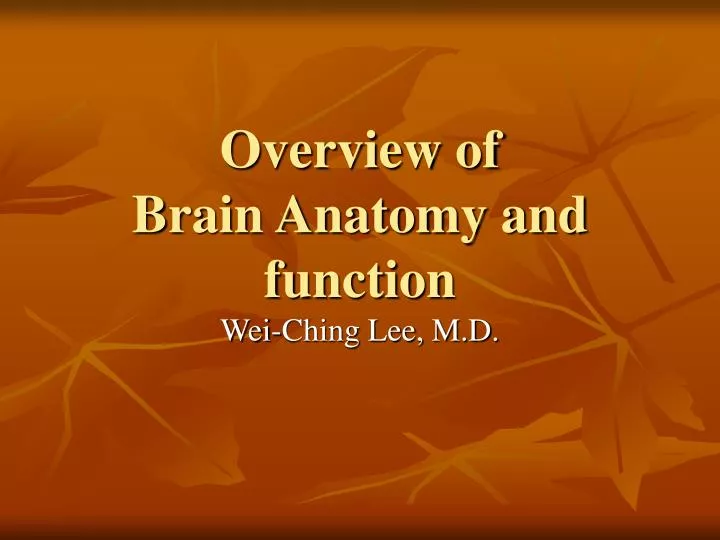 overview of brain anatomy and function