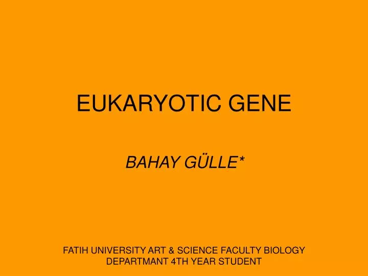 eukaryotic gene