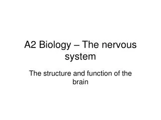 A2 Biology – The nervous system
