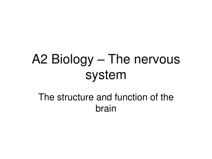a2 biology the nervous system