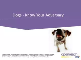 Dogs - Know Your Adversary
