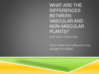 What are the differences between Vascular and non-Vascular Plants?