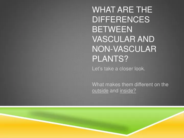 what are the differences between vascular and non vascular plants