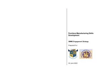 Furniture Manufacturing Skills Development SMME Engagement Strategy Prepared For: 30 June 2003