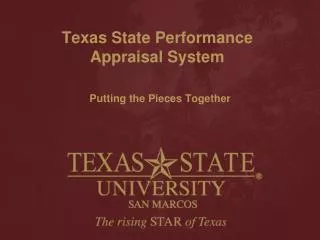 Texas State Performance Appraisal System