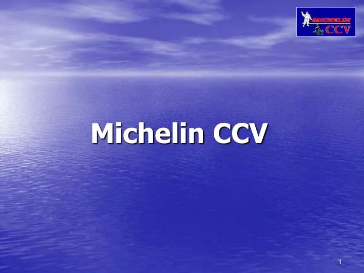 michelin ccv