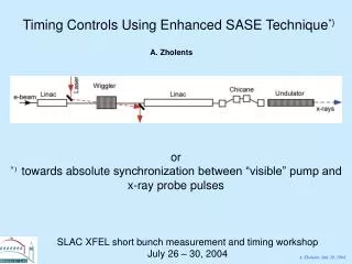 Timing Controls Using Enhanced SASE Technique *)