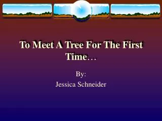 To Meet A Tree For The First Time …