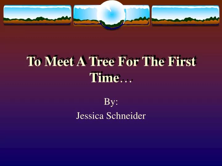 to meet a tree for the first time
