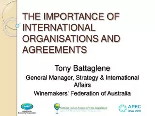 THE IMPORTANCE OF INTERNATIONAL ORGANISATIONS AND AGREEMENTS