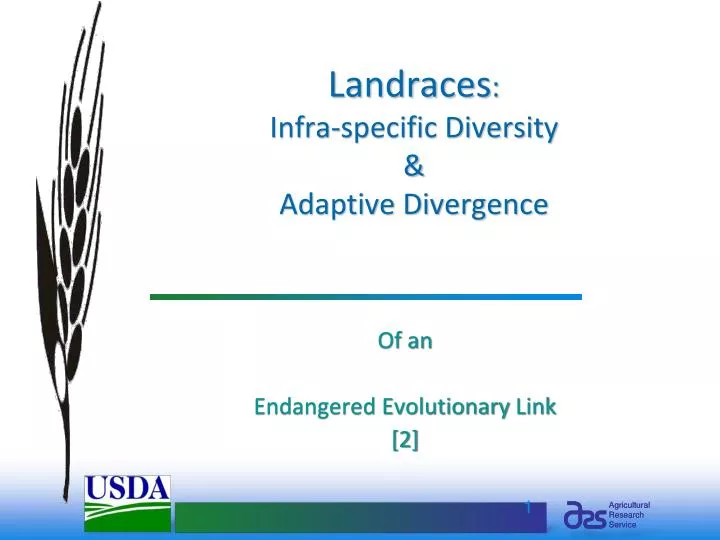 landraces infra specific diversity adaptive divergence