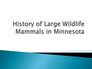 History of Large Wildlife Mammals in Minnesota