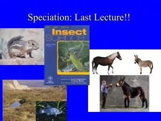 Speciation: Last Lecture!!