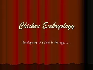 Chicken Embryology