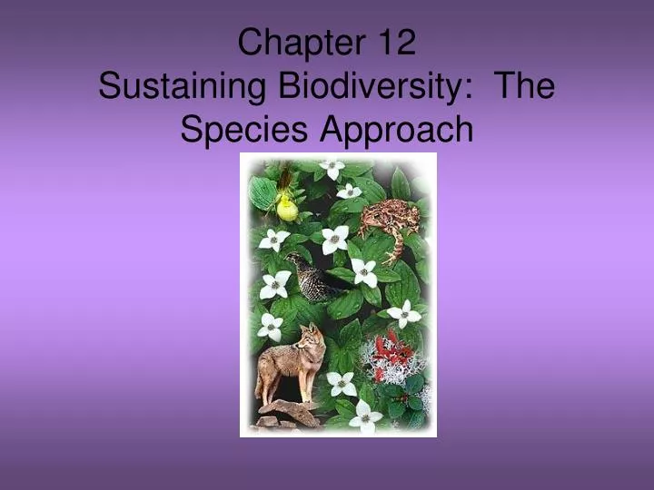 chapter 12 sustaining biodiversity the species approach