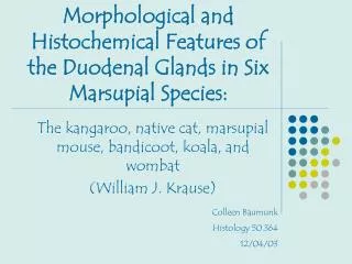 Morphological and Histochemical Features of the Duodenal Glands in Six Marsupial Species: