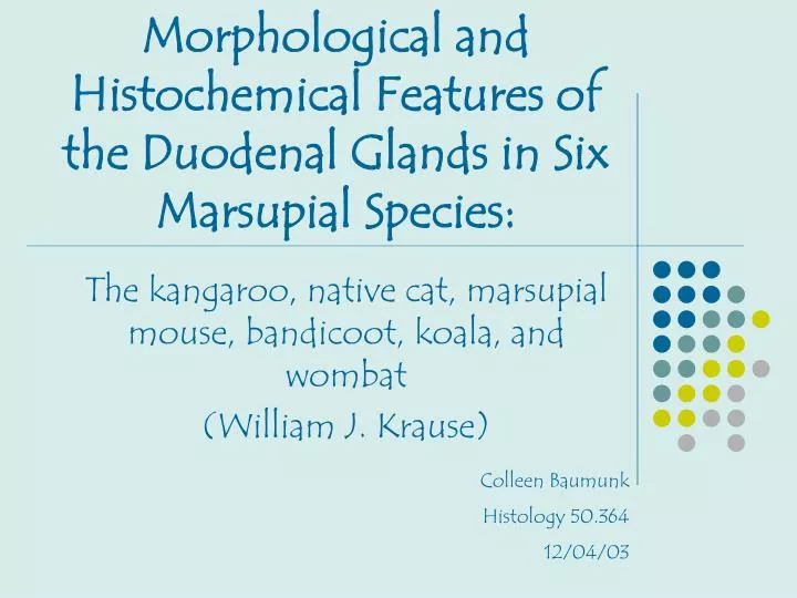 morphological and histochemical features of the duodenal glands in six marsupial species