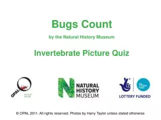 Bugs Count by the Natural History Museum Invertebrate Picture Quiz