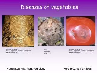 Diseases of vegetables