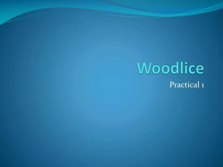 woodlice