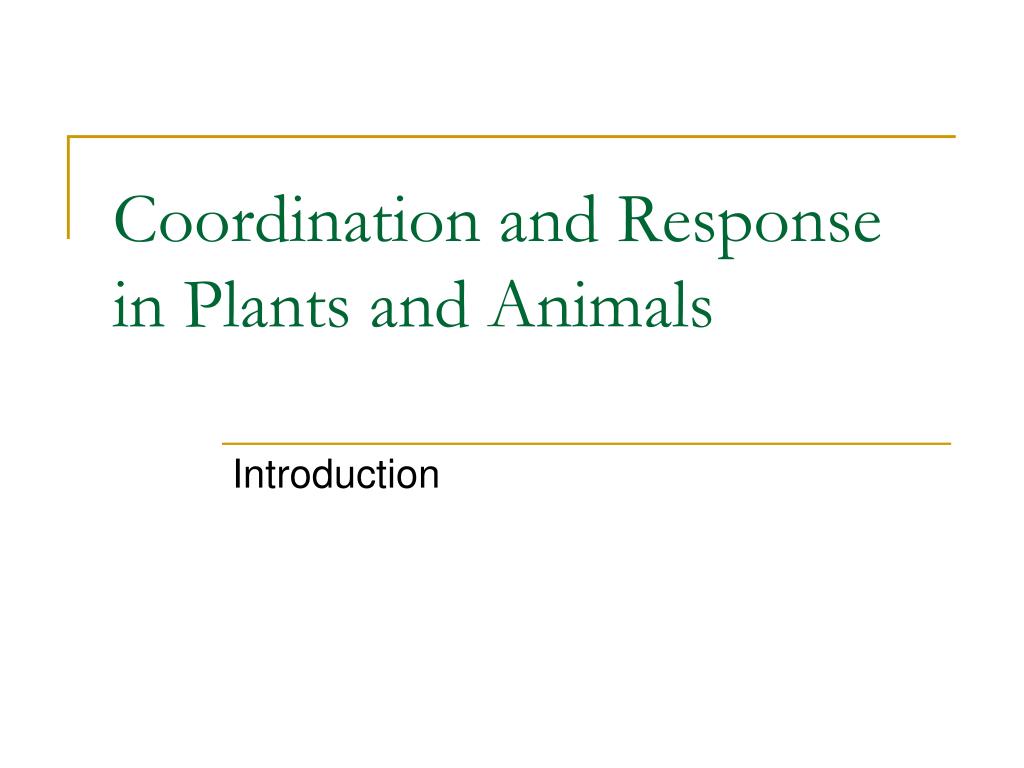 PPT - Coordination and Response in Plants and Animals PowerPoint ...
