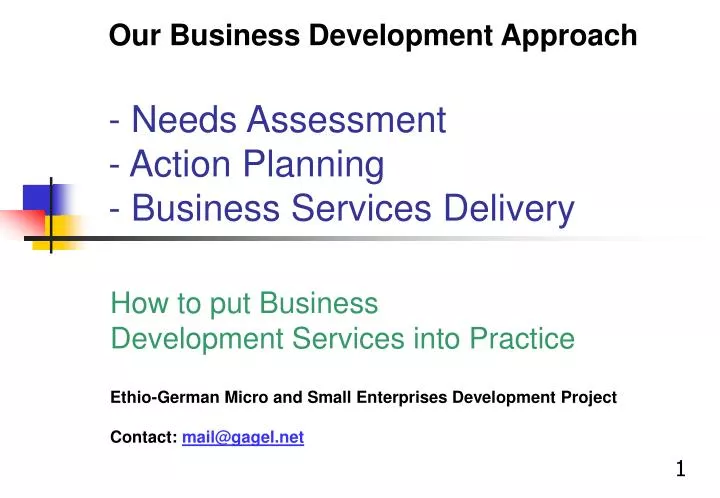 our business development approach needs assessment action planning business services delivery