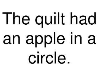The quilt had an apple in a circle.