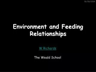 PPT - Feeding Relationships In An Ecosystem PowerPoint Presentation ...