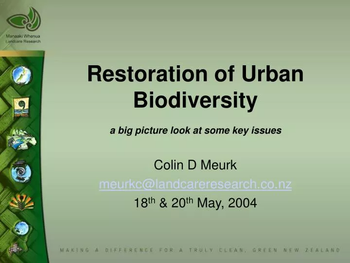 restoration of urban biodiversity a big picture look at some key issues