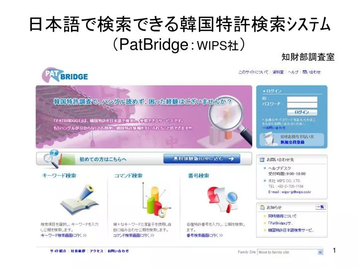 patbridge wips