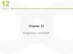 Pregnancy: From Conception to Childbirth - slide 1