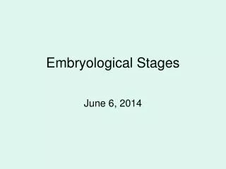 Embryological Stages