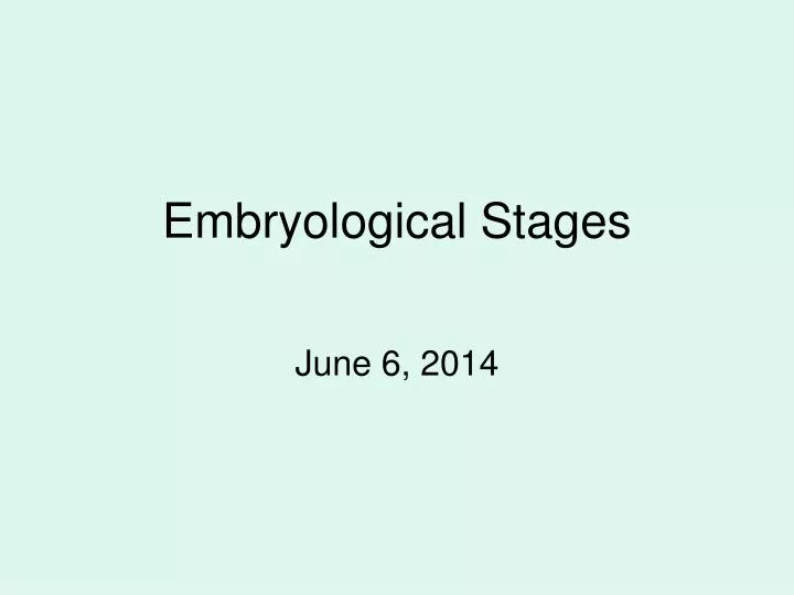 embryological stages