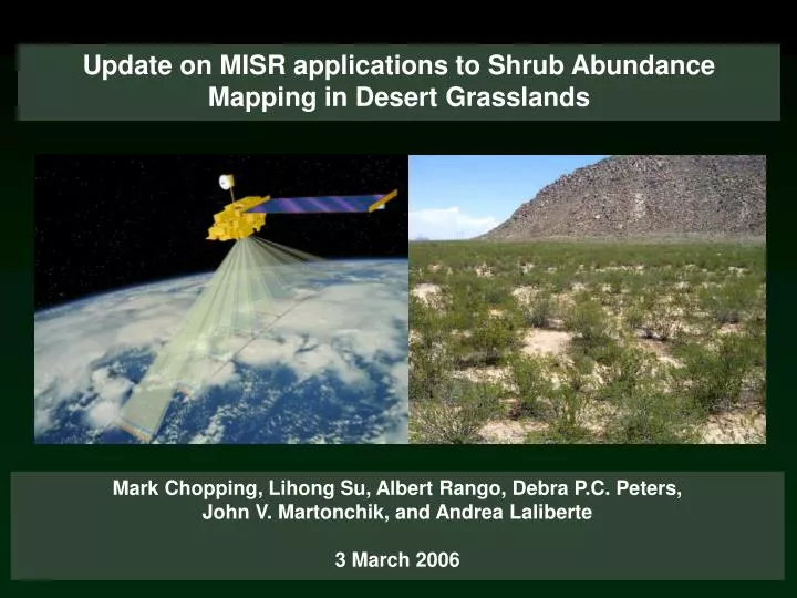 update on misr applications to shrub abundance mapping in desert grasslands