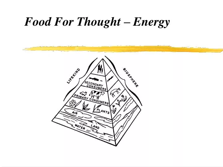 food for thought energy