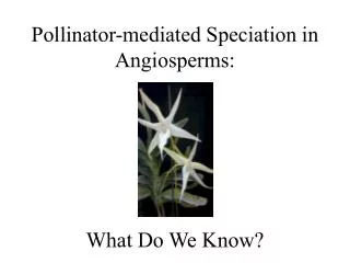 Pollinator-mediated Speciation in Angiosperms: What Do We Know?