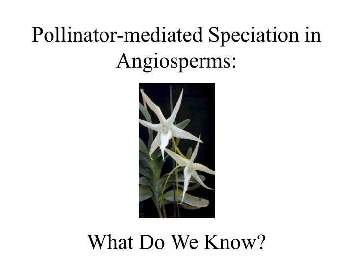pollinator mediated speciation in angiosperms what do we know