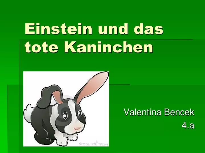 einstein und das tote kaninchen