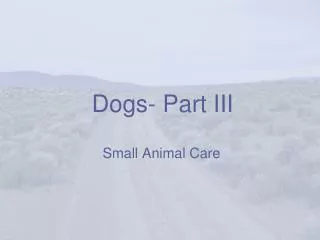 Dogs- Part III