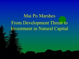 Mai Po Marshes From Development Threat to Investment in Natural Capital