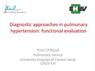 Diagnostic approaches in pulmonary hypertension: functional evaluation