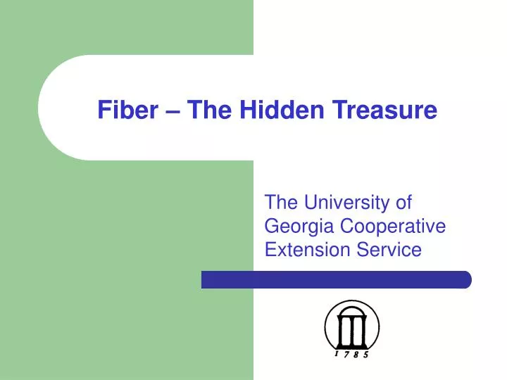 fiber the hidden treasure