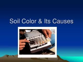 Soil Color &amp; Its Causes