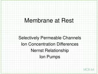 Membrane at Rest