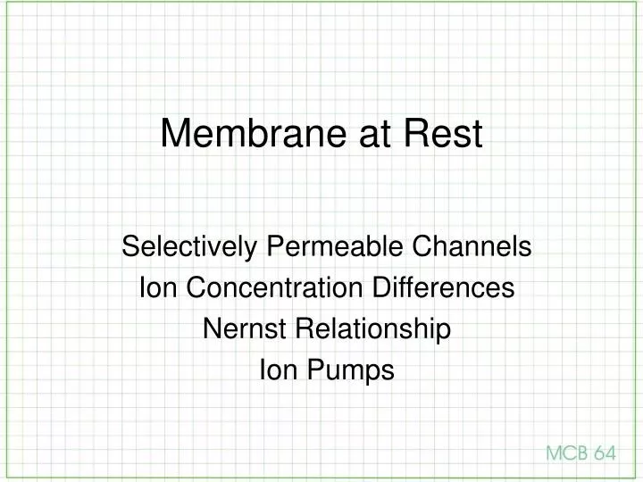 membrane at rest