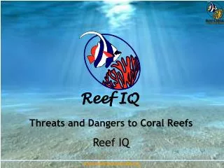 Threats and Dangers to Coral Reefs Reef IQ