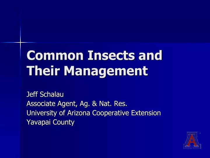 common insects and their management