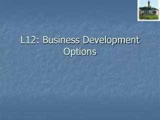 L12: Business Development Options
